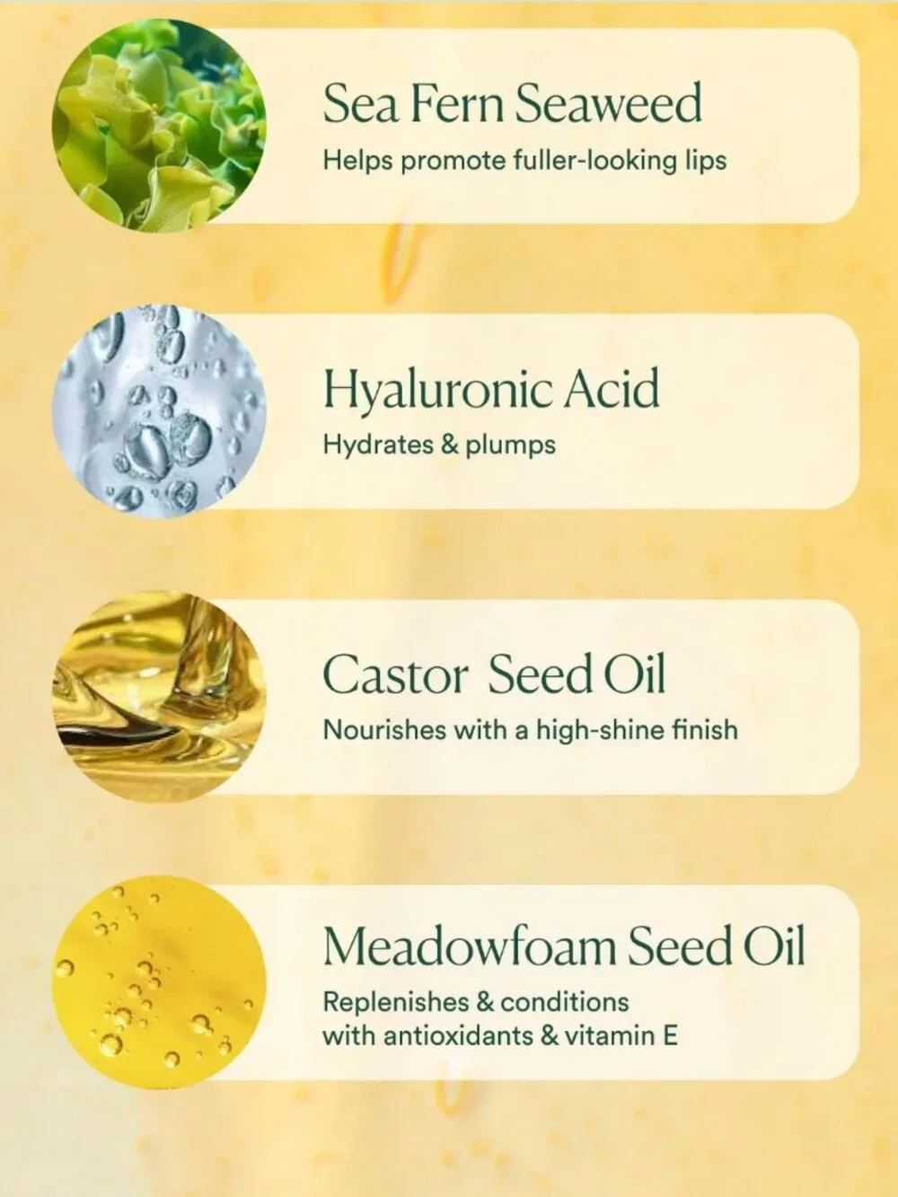 OSEA Malibu Hyaluronic Lip Oil Booster - Picture 5 of 5